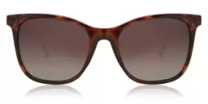 image of Polaroid Sunglasses PLD 4059/S Polarized 086/LA