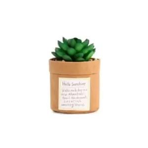 Image of Plant Kindness - Sunshine