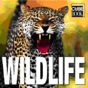 Image of Wildlife by Valeria. M De Fabianis Hardback