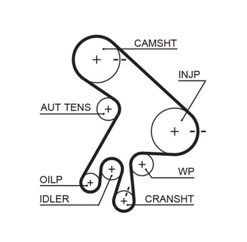 Image of GATES Timing Belt GATES 5562XS