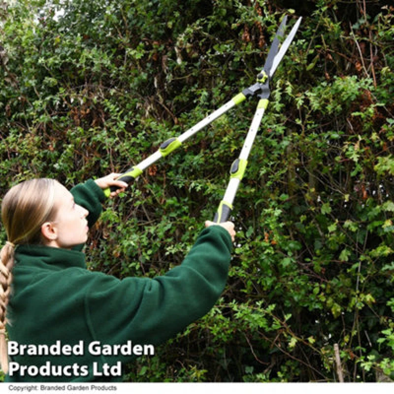 Image of Telescopic Hedge Shears Precision Cutting Extended Reach Comfort Grips - Ideal For Hedges, Shrubs, And Topiary Plants Garden Gear