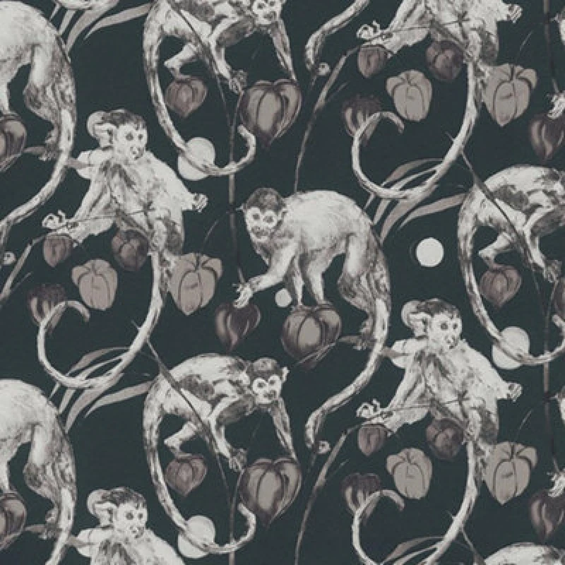 Image of A.S. CREATIONS A.s.creations - Monkey Jungle Wallpaper Textured Embossed Tropical Vinyl Black White ascreation_michalsky_4_change_is_good_379822