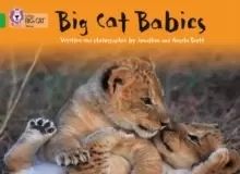 Image of Big Cat Babies : Band 05/Green