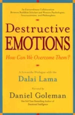 Image of destructive emotions a scientific dialogue with the dalai lama