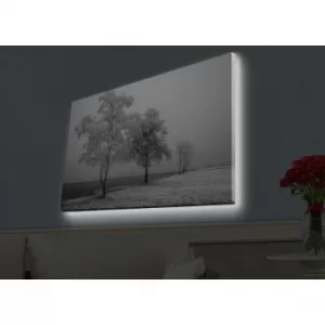 Image of 4570HDACT-031 Multicolor Decorative LED Lighted Canvas Painting