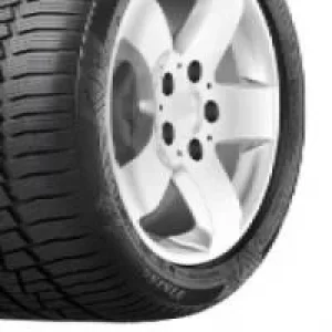 Image of Viking WinTech (155/80 R13 79T)