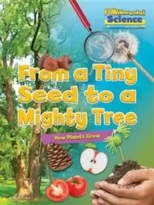 Image of Fundamental Science Key Stage 1: From a Tiny Seed to a Mighty Tree: How Plants Grow