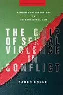 Image of grip of sexual violence in conflict feminist interventions in international