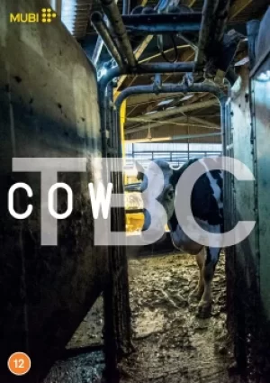 Image of Cow (DVD)