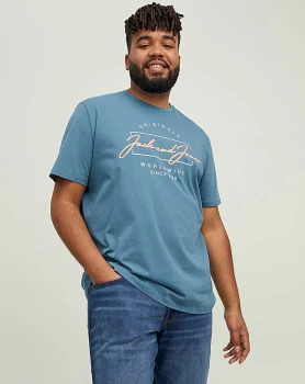 Image of Jack & Jones Elden Crew Neck T-Shirt