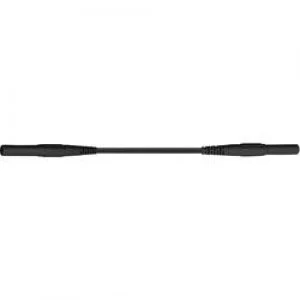 Image of Safety test lead 2m Black Staeubli XMF 419