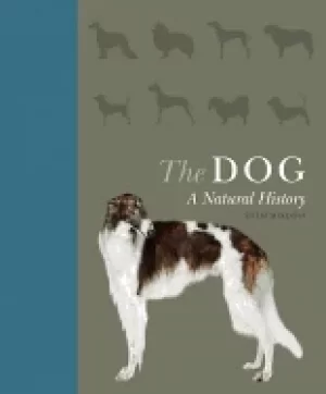 Image of dog a natural history