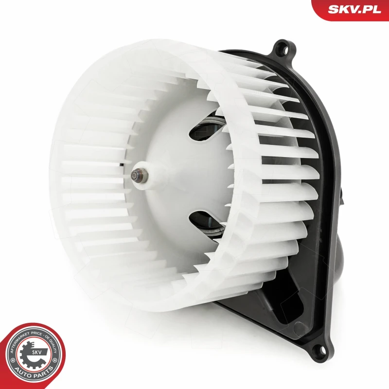 Image of ESEN SKV Blower motor ESEN SKV 68SKV028