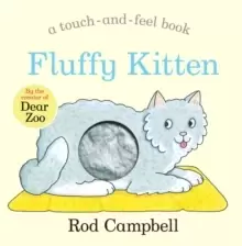 Image of Fluffy Kitten
