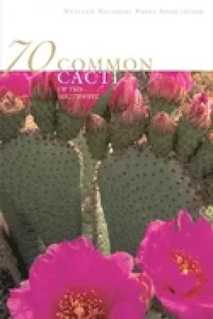 Image of 70 common cacti of the southwest