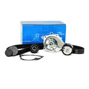 Image of SKF Water Pump + Timing Belt Kit RENAULT VKMC 06106 MW30620725,MW31303112,2101000Q0K 2101000QAC,4408028,4410548,4412355,4416576,4449049,4449588