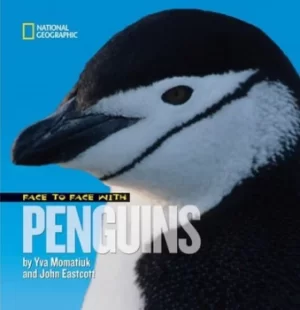 Image of Face to face with penguins by Yva Momatiuk