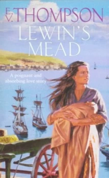 Image of Lewins Mead by E. V. Thompson Book
