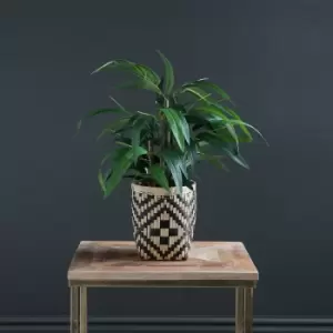 image of 50cm Artificial Bamboo Plant in Black & Natural Woven Pot