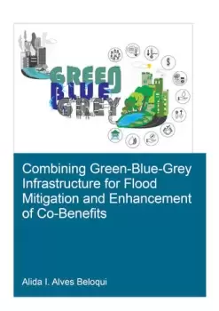 Image of Combining Green-Blue-Grey Infrastructure for Flood Mitigation and Enhancement of Co-Benfits