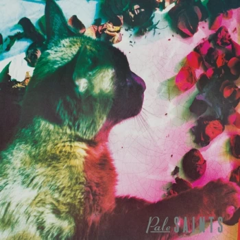 Image of Pale Saints - The Comforts Of Madness 30th Anniversary Limited Edition Clear Vinyl