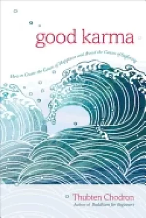 Image of good karma how to create the causes of happiness and avoid the causes of su