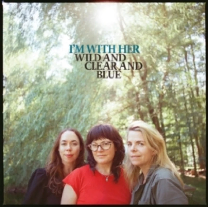 Image of Wild and Clear and Blue Vinyl