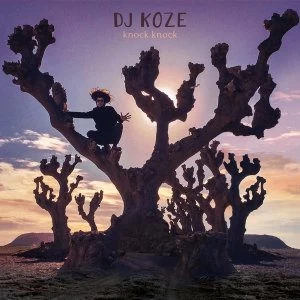 Image of Dj Koze - Knock Knock Vinyl