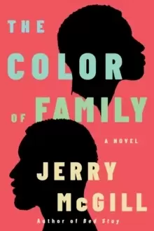 Image of The Color of Family : A Novel