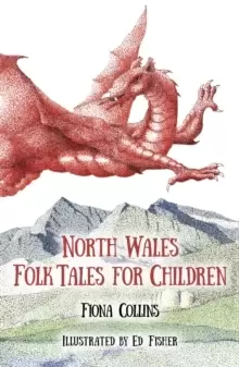 Image of North Wales Folk Tales for Children