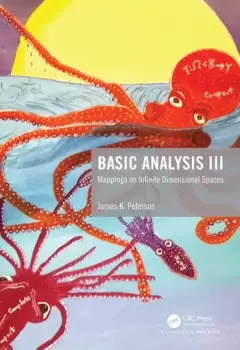 Image of Basic Analysis IIIMappings on Infinite Dimensional Spaces
