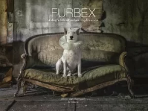 Image of furbex a dogs life of urban exploration