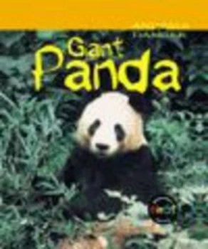 Image of Giant Panda by Rod Theodorou Hardback
