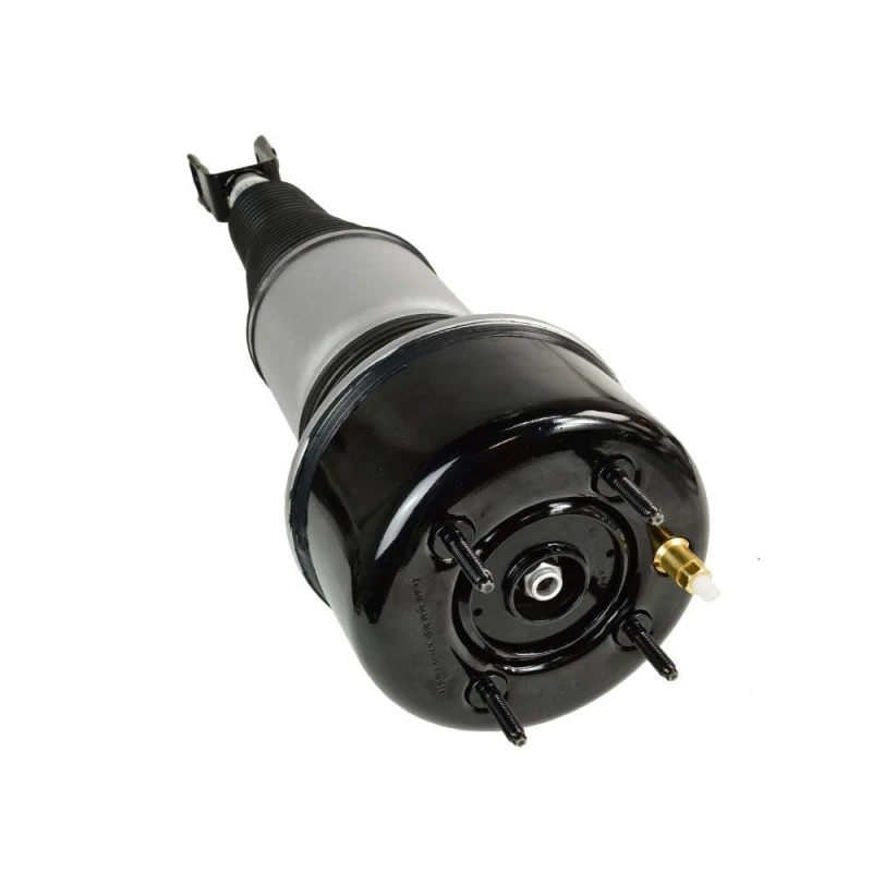 Image of MiesslerAutomotive Air suspension strut MiesslerAutomotive 1244-01-1349