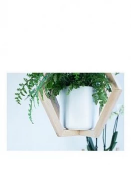 image of Ivyline Scandi Beech Hanging Planter