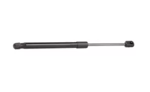 Image of RIDEX Tailgate strut RENAULT 219G0519 6025401711