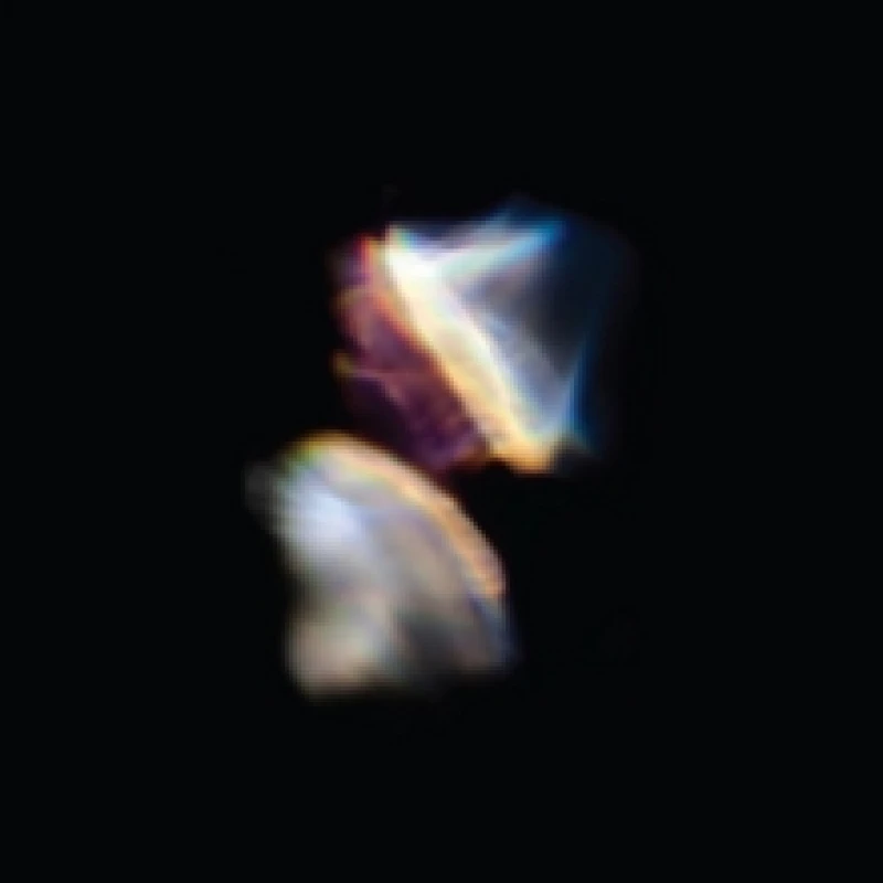 Image of Borders Vinyl