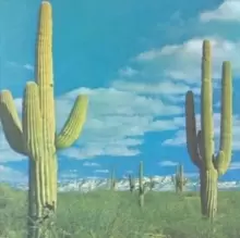 Image of The state of art is on fire