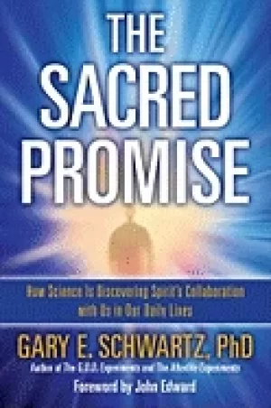 Image of sacred promise how science is discovering spirits collaboration with us in