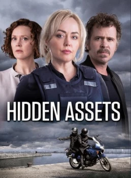 Image of Hidden Assets - DVD