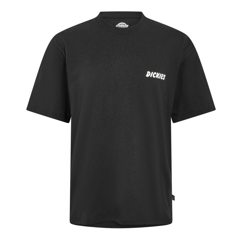 Image of Dickies Dickies Day Ridge T Sn63 Black male Small