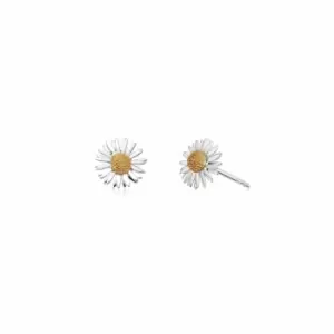 image of Daisy London Jewellery 925 Sterling Silver and 18ct Gold Plate Michaelmas Daisy Stud Earrings