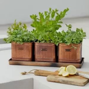 image of Outdoor Hampton Copper Set of 3 Herb Planters With Tray