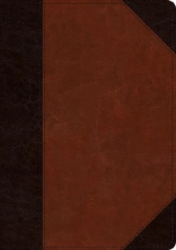 Image of ESV Large Print Wide Margin Bible Leather / fine binding