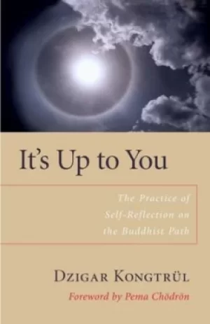 Image of Its up to you by Dzigar Kongtrul