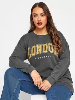 image of Yours Ladies Logo Sweatshirt - Grey, Size 18, Women