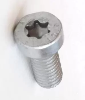 Image of Bosch Screw F 01M 100 684
