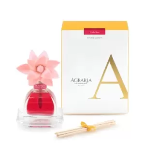 image of Agraria Cedar Rose Petite Essence Diffuser 50ml