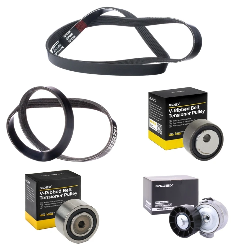 Image of RIDEX 542R0936 V-ribbed belt set V-Ribbed Belt Set (542)