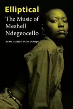 Image of Elliptical The Music of Meshell Ndegeocello by Andre Akinyele